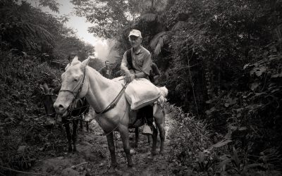 Recordar para inmortalizar: Javier Giraldo un referente de paz